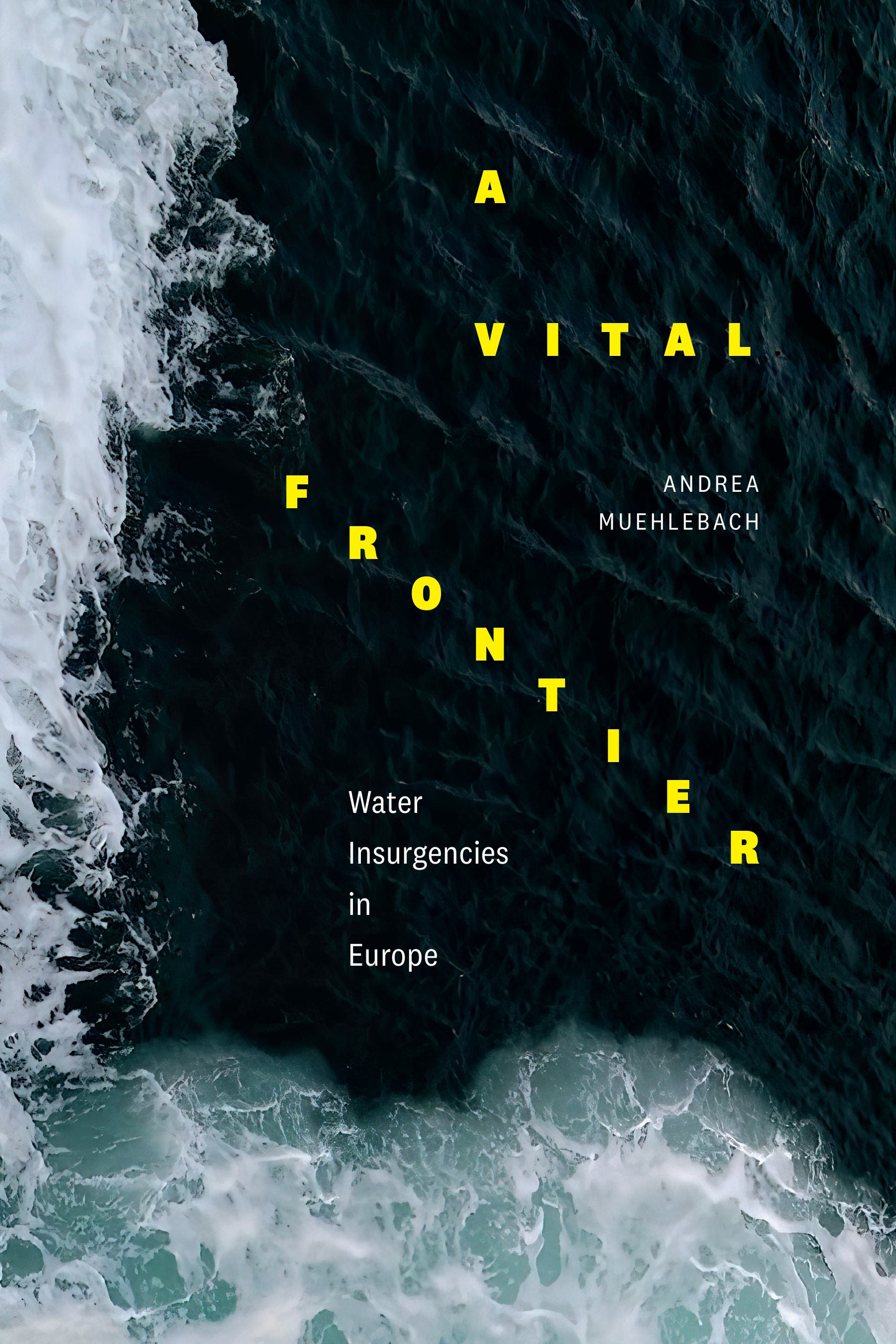 A Vital Frontier: Water Insurgencies in Europe