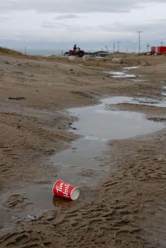 Consumerism Climate Words Pamela EA 1