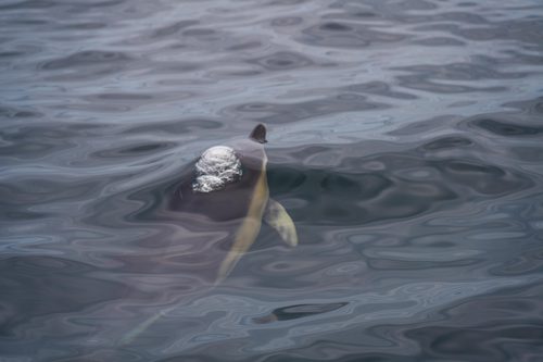 Marine Protected Area Climate Words Pamela EA