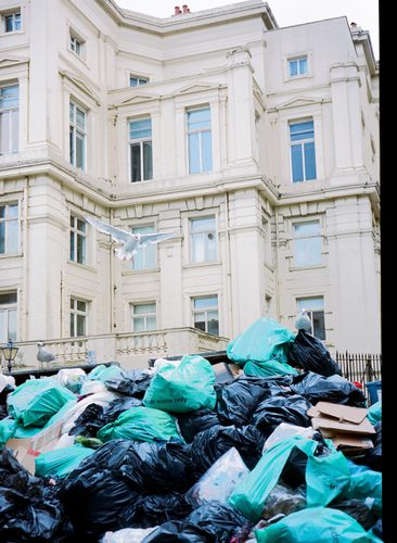 Pamela EA Climate Words 8 2