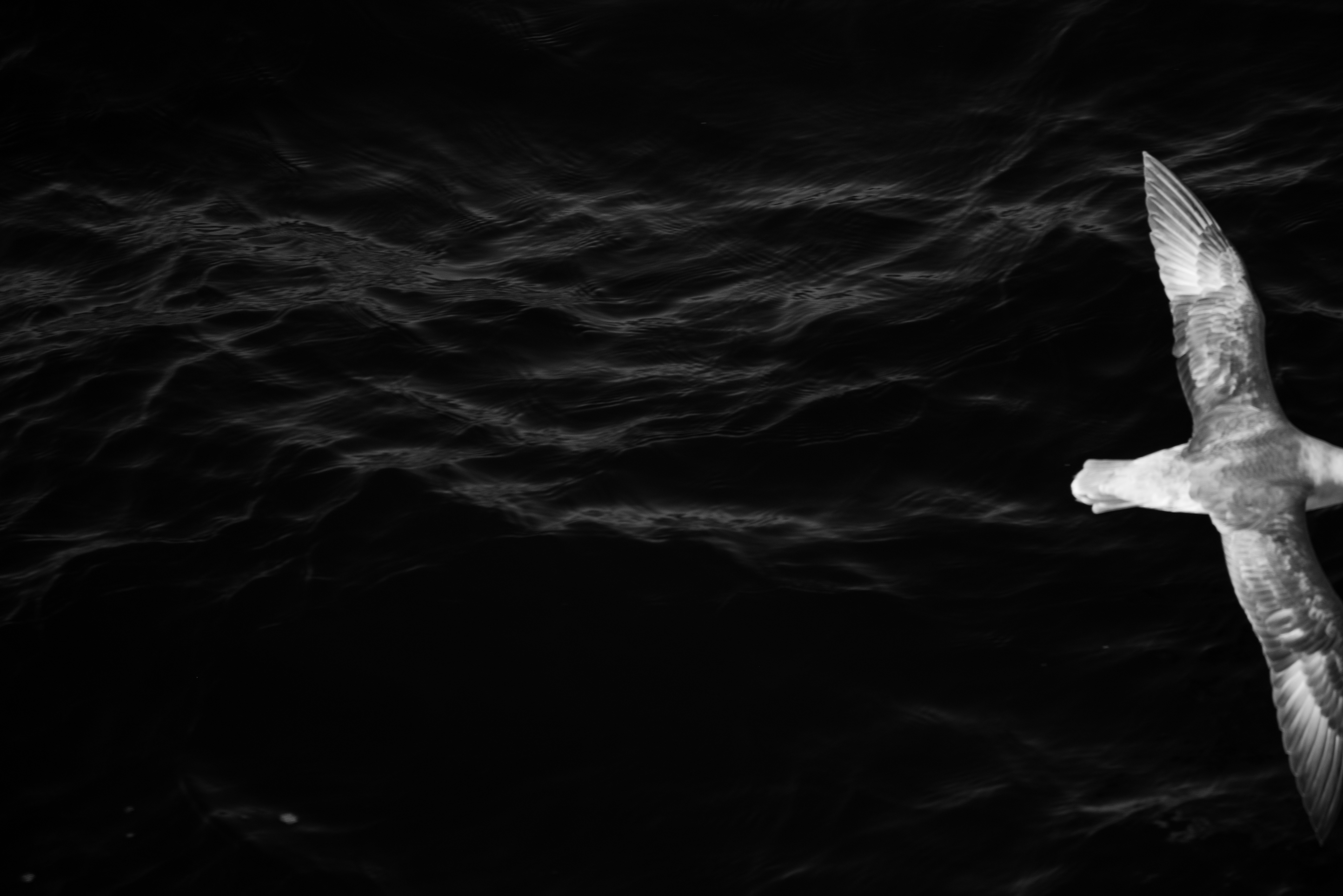 Arctic Words from Kangerlussuaq to Iluvialuit