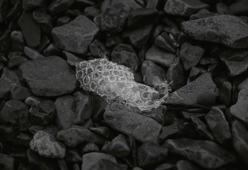 Screenshot 2024 11 07 at 2 17 33 pm