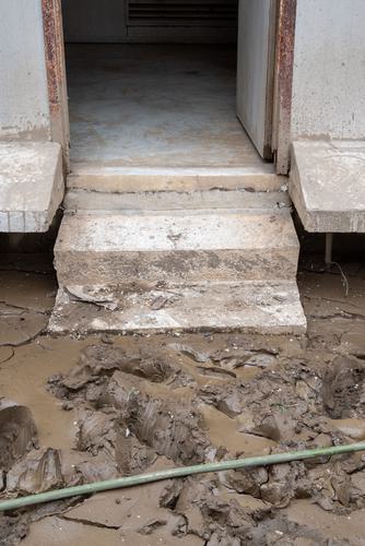 Climate Crisis Pamela EA Climate Words