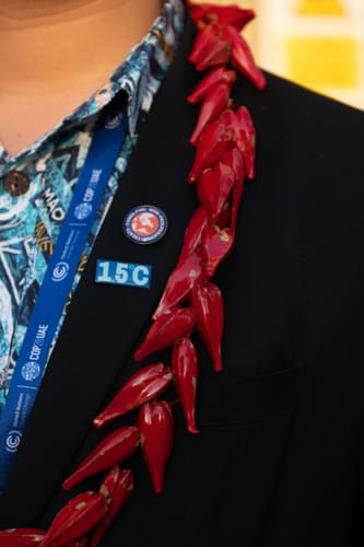 Climate Resilience Pamela EA Climate Words