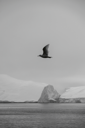 Screenshot 2024 11 07 at 2 26 41 pm