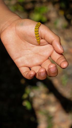 Pamela EA Ecological Self