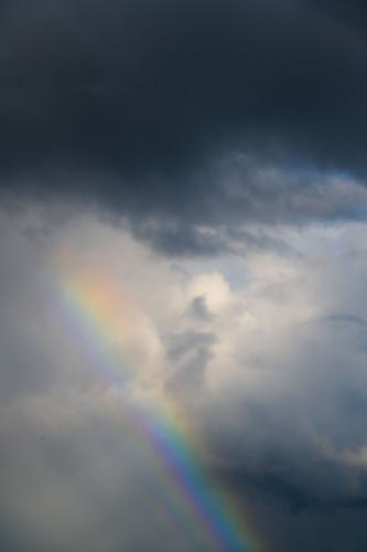 Global Weirdening Pamela EA Climate Words