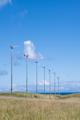 Green Banking Pamela EA Climate Words