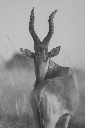 Screenshot 2024 11 12 at 9 56 32 pm