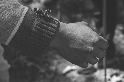 Screenshot 2024 11 12 at 9 48 50 pm