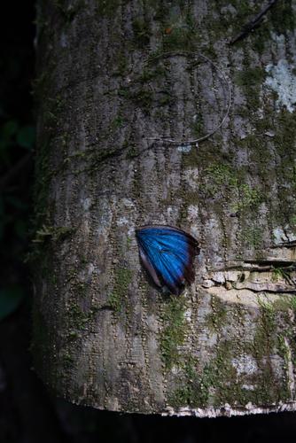 Transboundary Pamela EA Climate Words