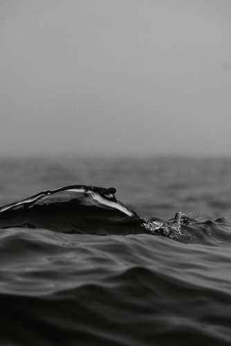 Screenshot 2024 11 07 at 1 58 14 pm